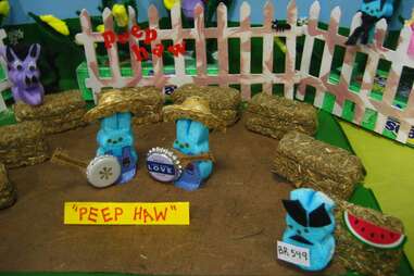 Peep Haw