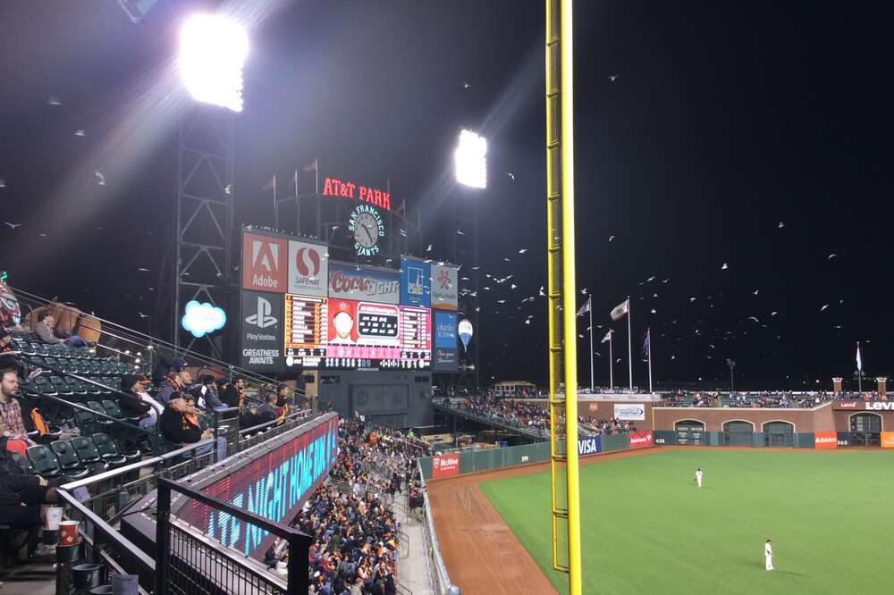 Types of San Francisco Giants Fans - Thrillist