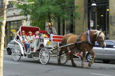 carriage ride