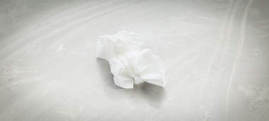 tissue
