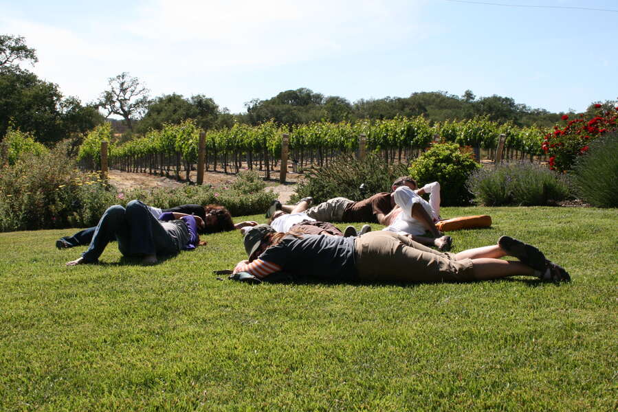 Bay Area Wine Tasting Explained Thrillist