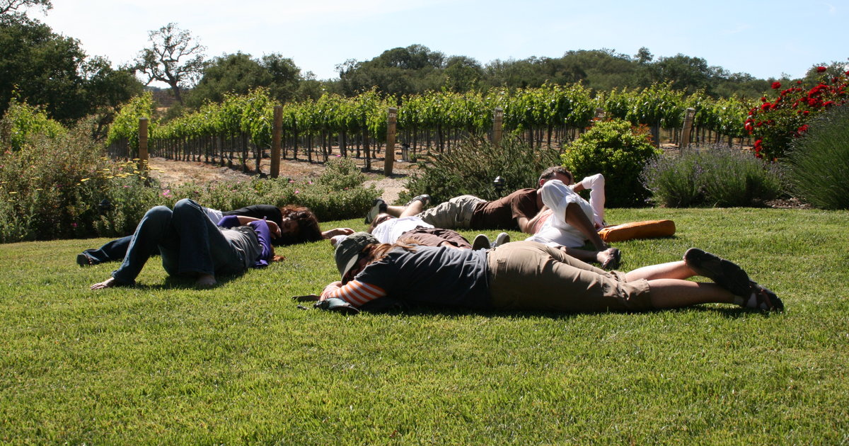 Bay Area Wine Tasting Explained Thrillist