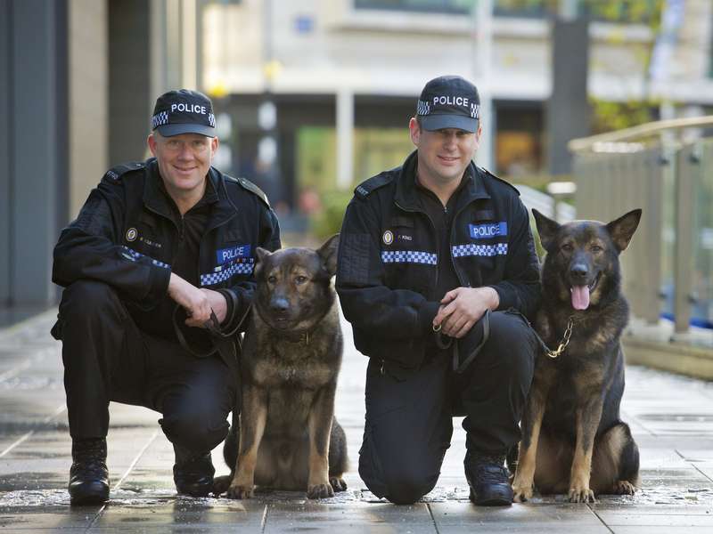 how are police dogs trained to smell drugs