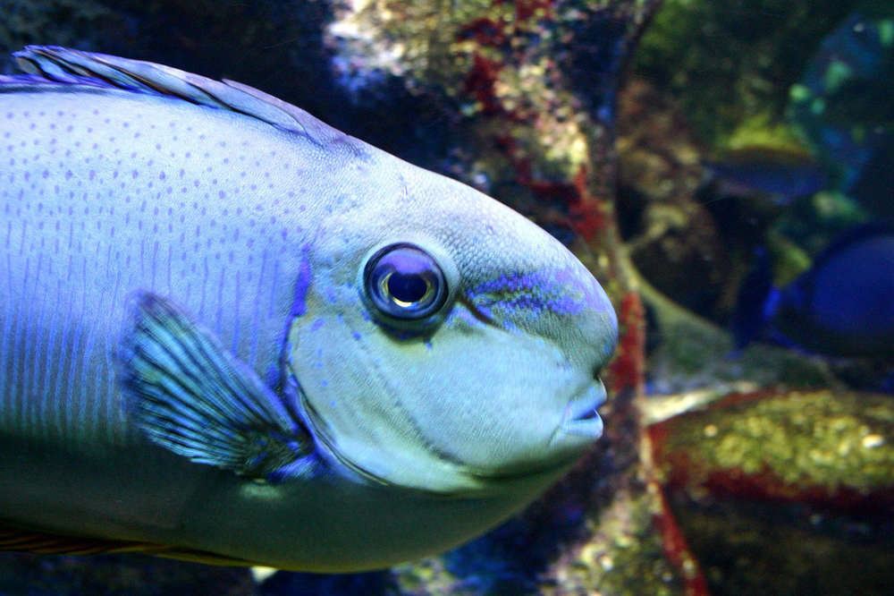 Weird Sex Rituals From Around The World India Brazil South Africa Thrillist