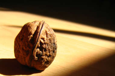 Walnut