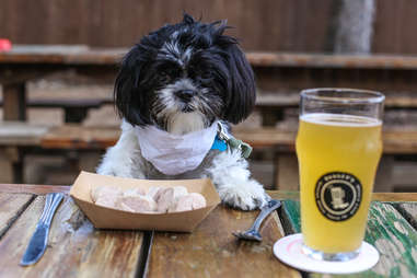 are thc edibles drug dogs trained to smell