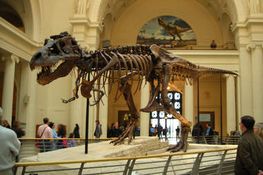 T-Rex Sue