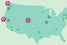 Map: The 25 Pet-Friendliest Rental Markets in America