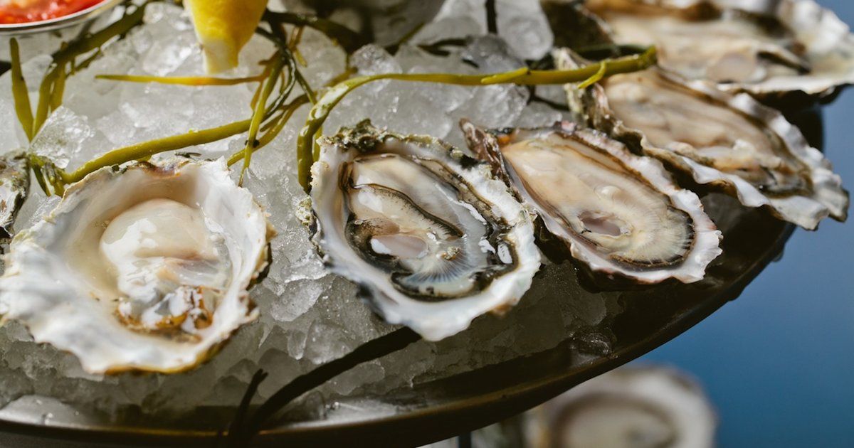 Best Oyster Bars In Chicago Cheap Oysters Happy Hour Thrillist