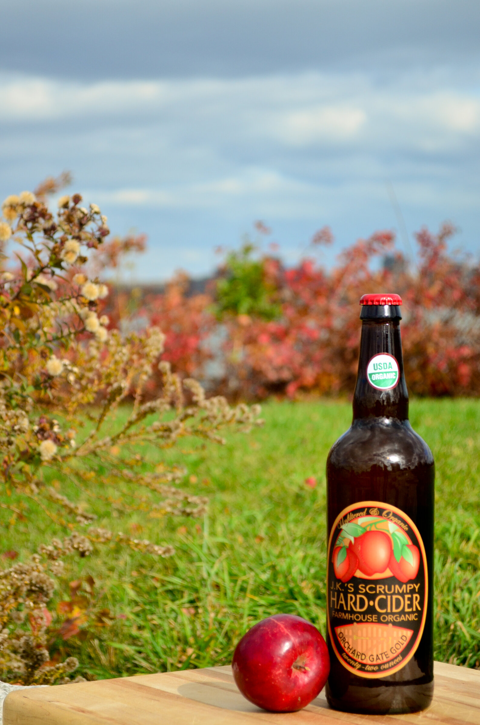 Ciders You Need to Be Drinking Right Now - Best Ciders - Thrillist