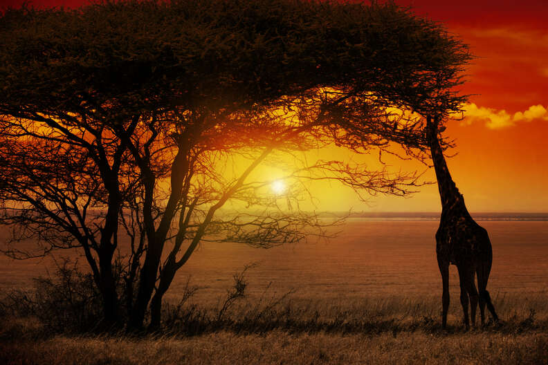 Kruger National Park