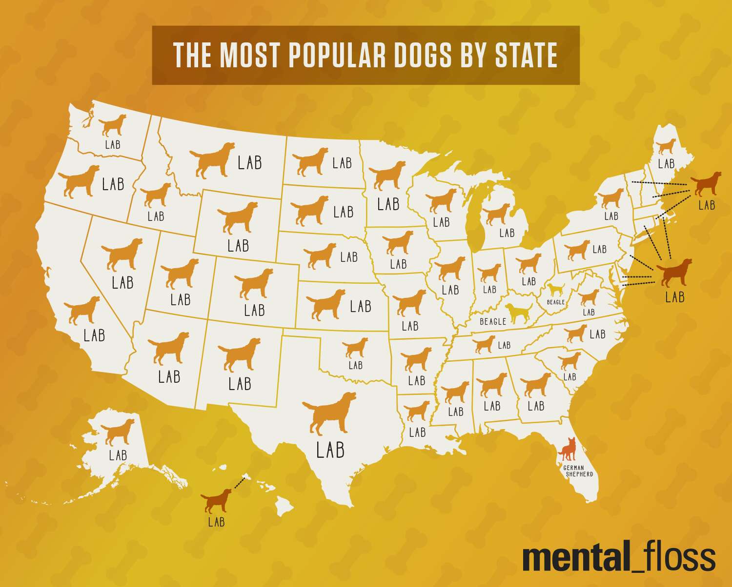 popular dog map