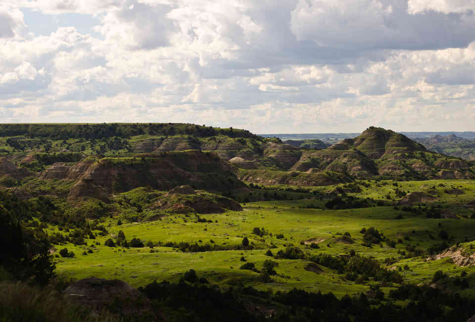 Grand Canyon Disney World Wrigley Field And The Best - 
