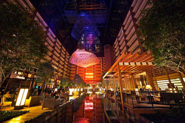 Hilton Anatole