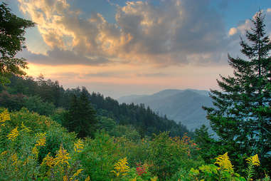 Great Smoky Mountain Nat'l Park