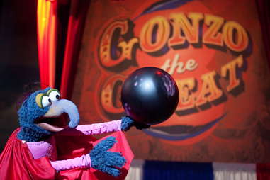 Gonzo