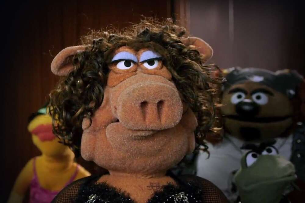 brown witg muppet long nose