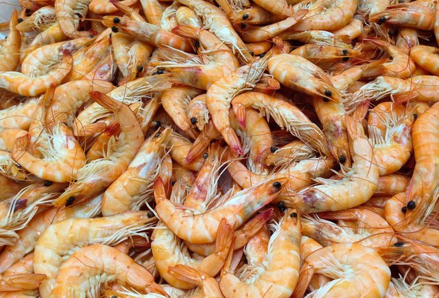 https://assets3.thrillist.com/v1/image/1493811/size/tl-horizontal_main/10-types-of-seafood-you-really-shouldn-t-eat-and-10-you-should
