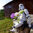 Romantic stormtrooper