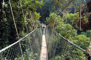 Terrifing Rope Bridge The Most Terrifying Rope Bridges In the World - Thrillist