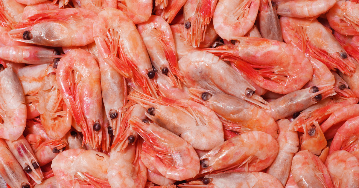 The Least Sustainable Seafood - Fish You Shouldn't Eat - Thrillist