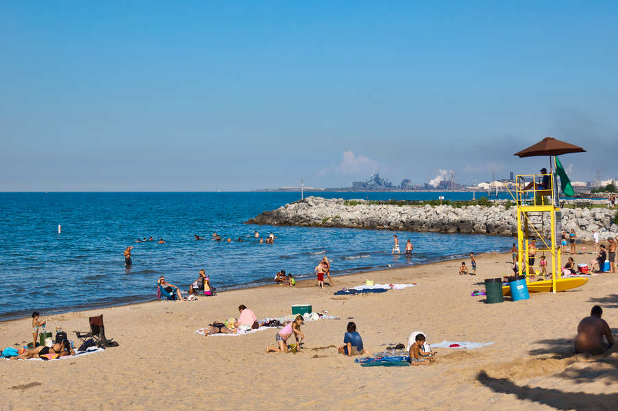 are dogs allowed on chicago beaches