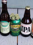 The Best Weed Strains to Pair With 7 Top IPAs
