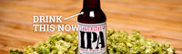 How to Tell When Your Beer Has Gone Bad - Skunky Beer - Thrillist