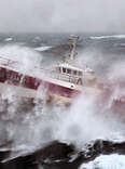 12 Ways the Ocean Will One Day Kill You