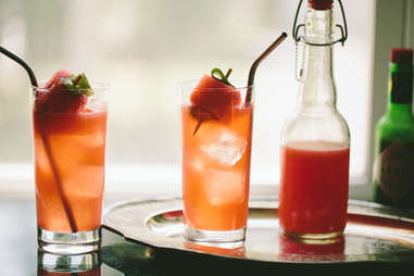 Watermelon Shrub Spritzer