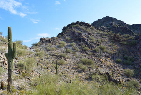 Best Hikes Phoenix - Thrillist