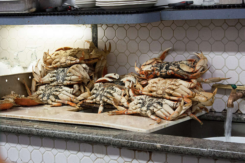 Crabs from Swan Oyster Depot