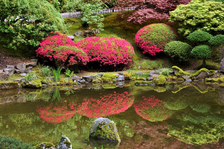 The 15 Best Parks in Portland - Thrillist