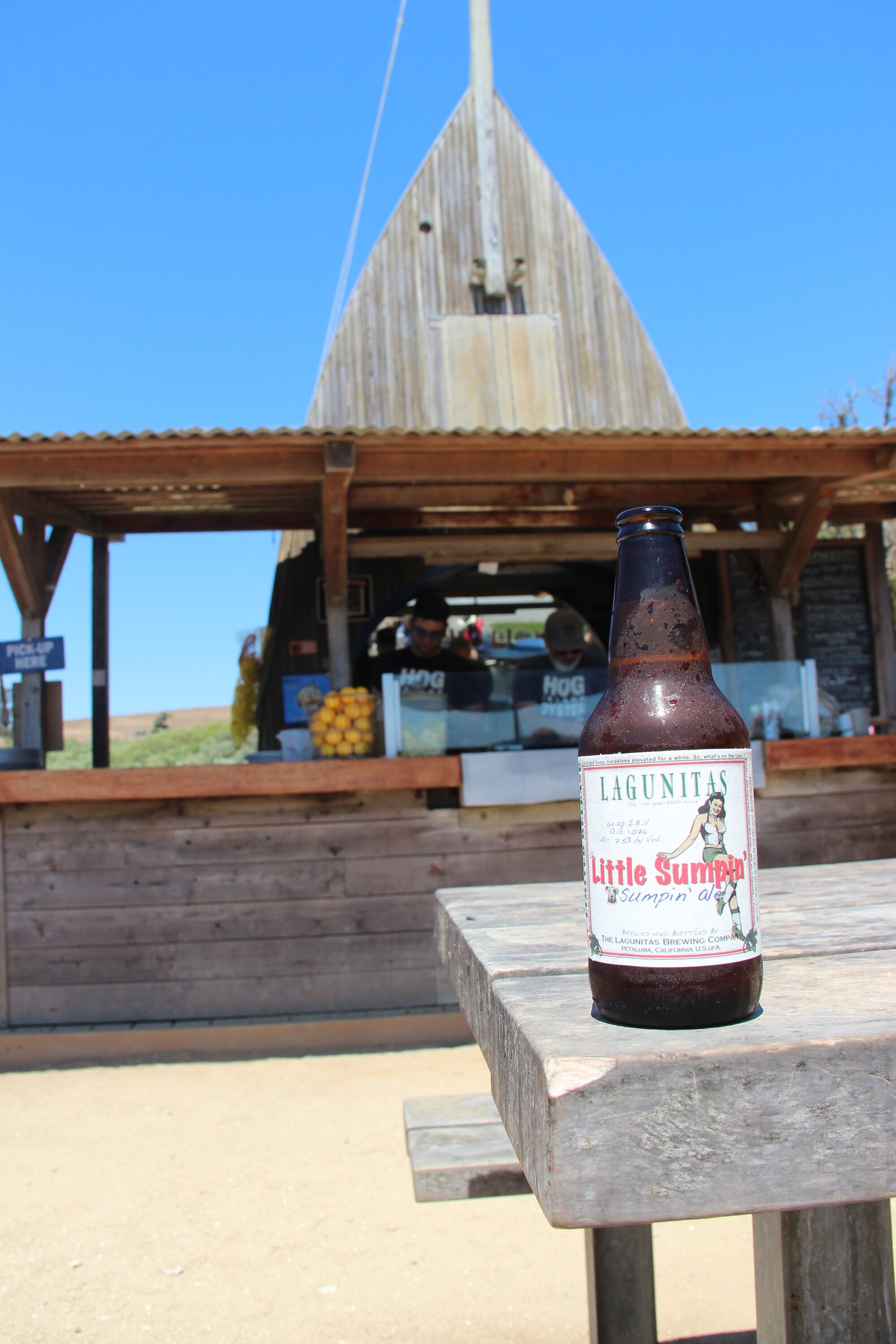 Oyster Shucking Near SF Tomales Bay, Hog Island, The Marshall Store