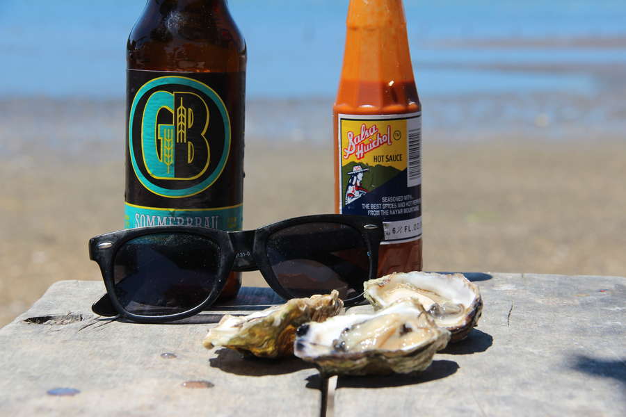 Oyster Shucking Near SF Tomales Bay, Hog Island, The Marshall Store