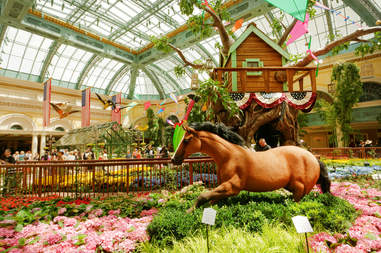 Bellagio Conservatory