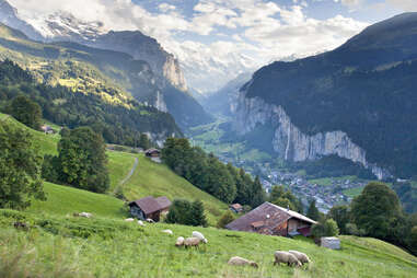 Lauterbrunnen, Switzerland, Alps, meadow, valley