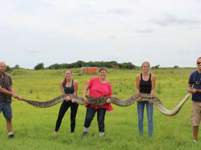 Watch a Snake Put On an Elaborate Death Performance