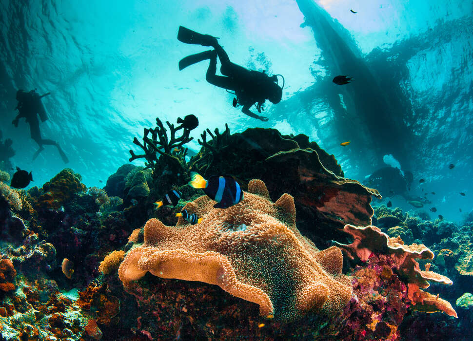 12 Best Places to Scuba Dive in Florida - Key Largo Miami 