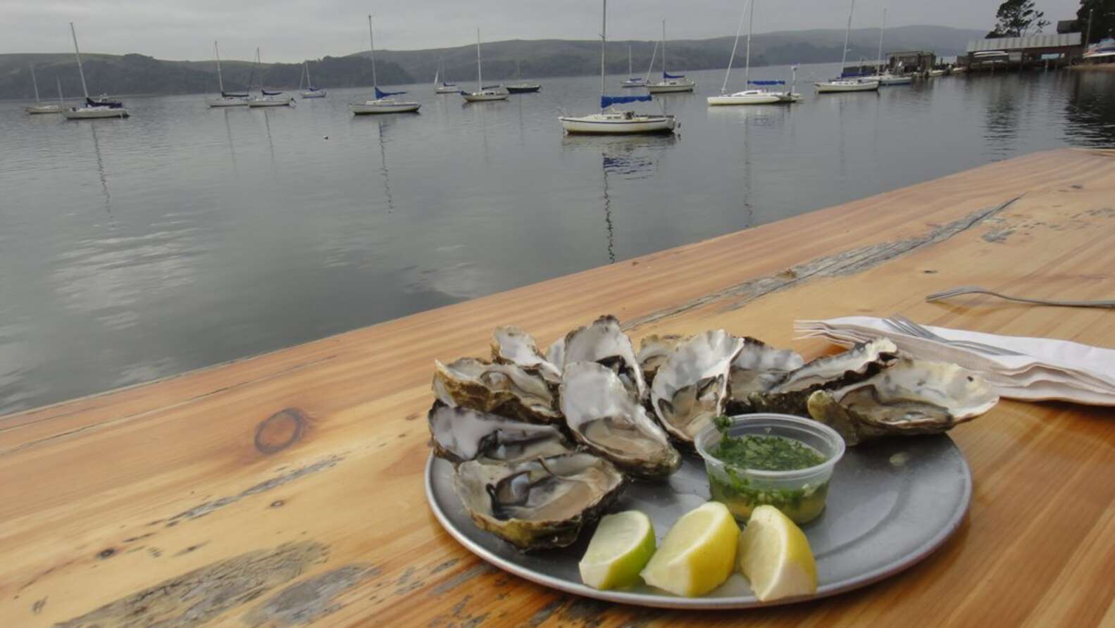 Best Oyster Bars in America: Where to Find the Best Raw Oysters - Thrillist