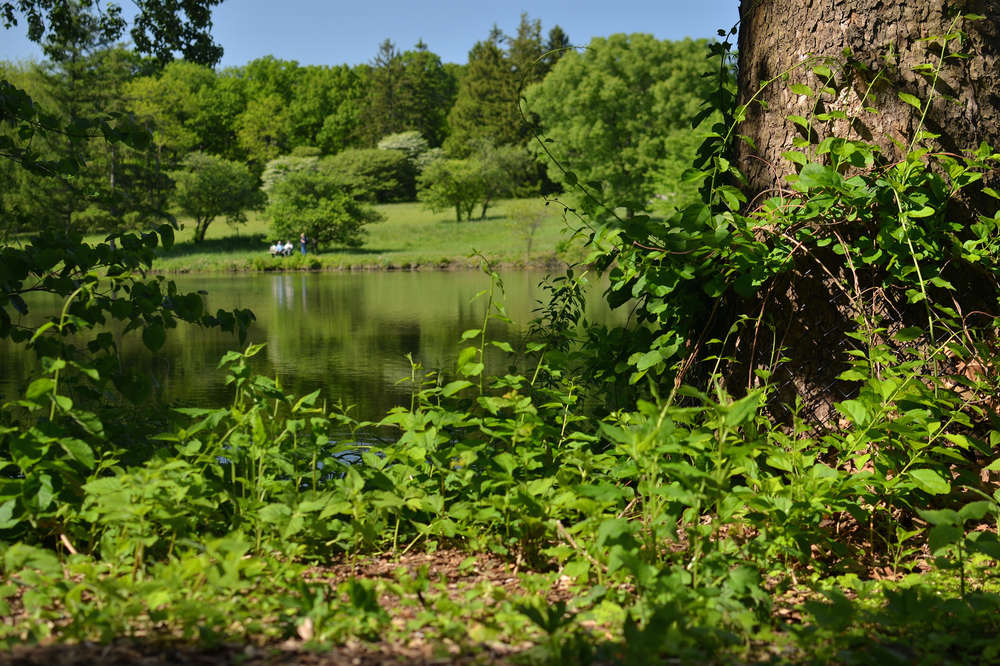 The 10 Best Nature Spots In Chicago Thrillist