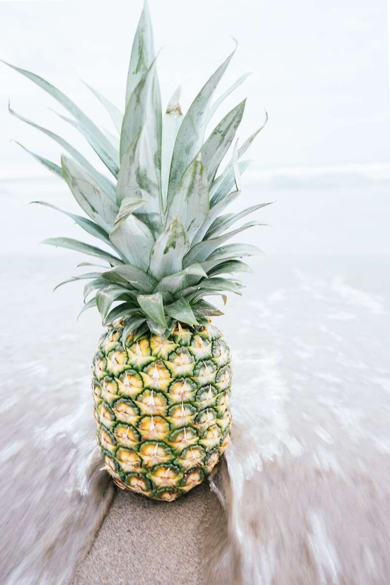 I Can't Stop Looking at These Gorgeous Stock Photos of Pineapples ...