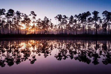 Everglades National Park