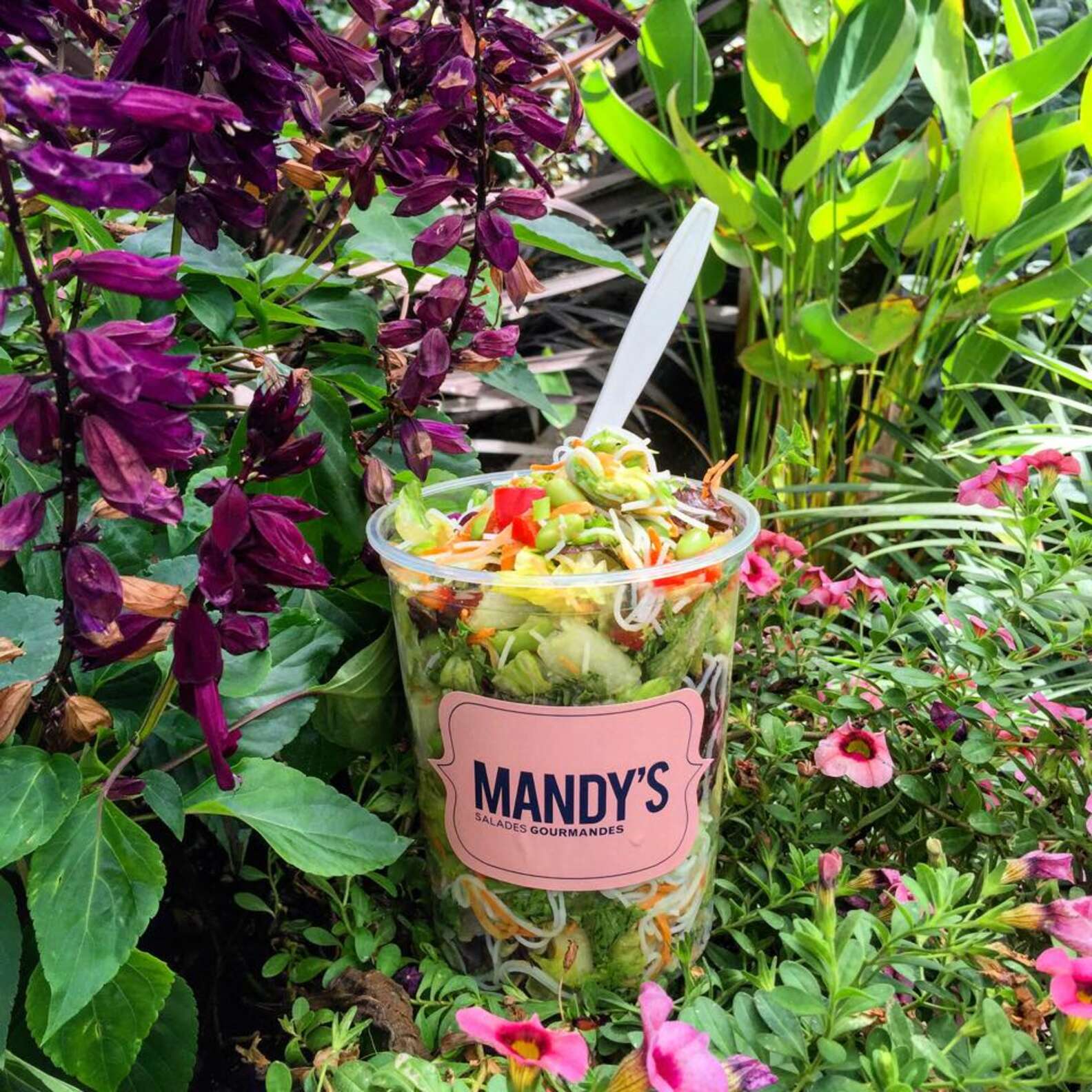 The Best Lunch Spots in Montreal - Thrillist