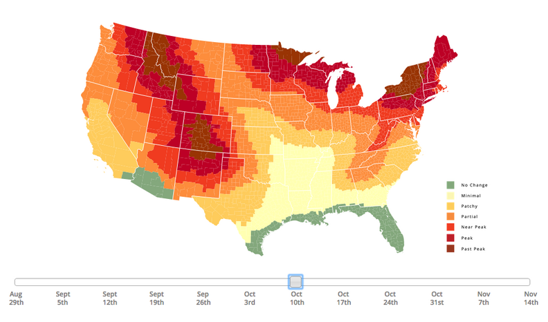 Spring And Fall Map This Map Is All You Need To Catch the Changing Foliage This Fall ...
