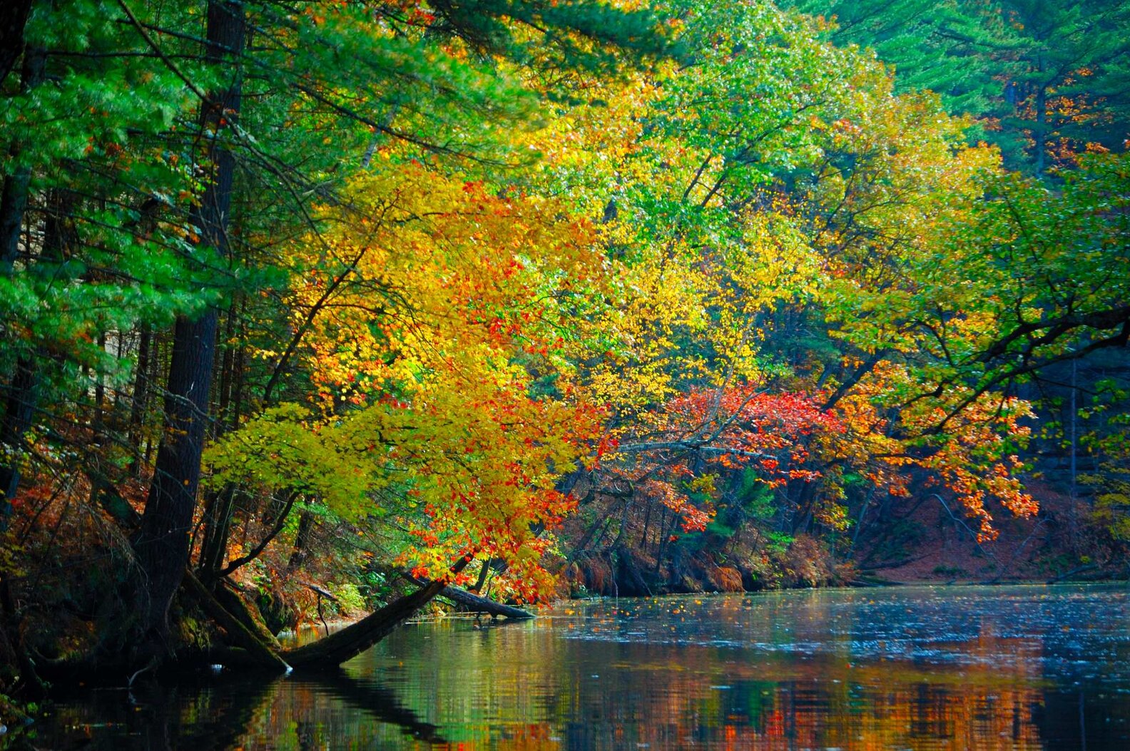 The Most Beautiful Places in Wisconsin – Road Trip Ideas - Thrillist