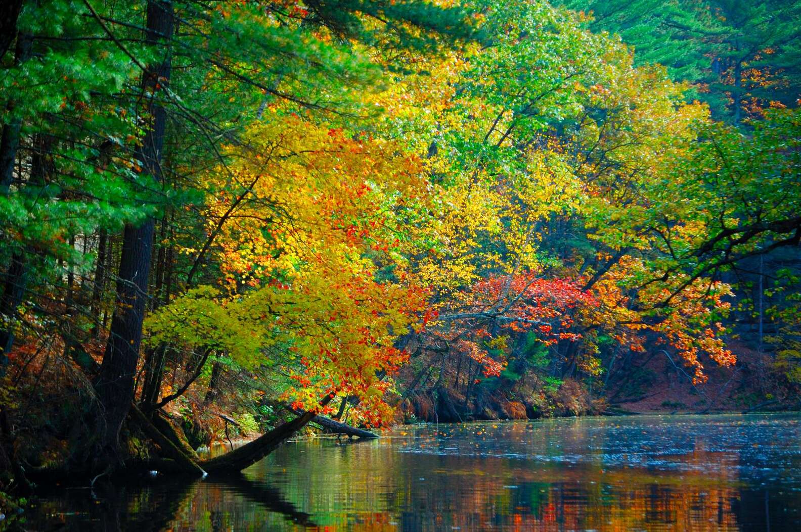 Wisconsin Sights The Most Beautiful Places in Wisconsin – Road Trip Ideas - Thrillist