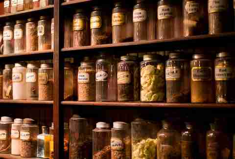 Museum of death new orleans coupons