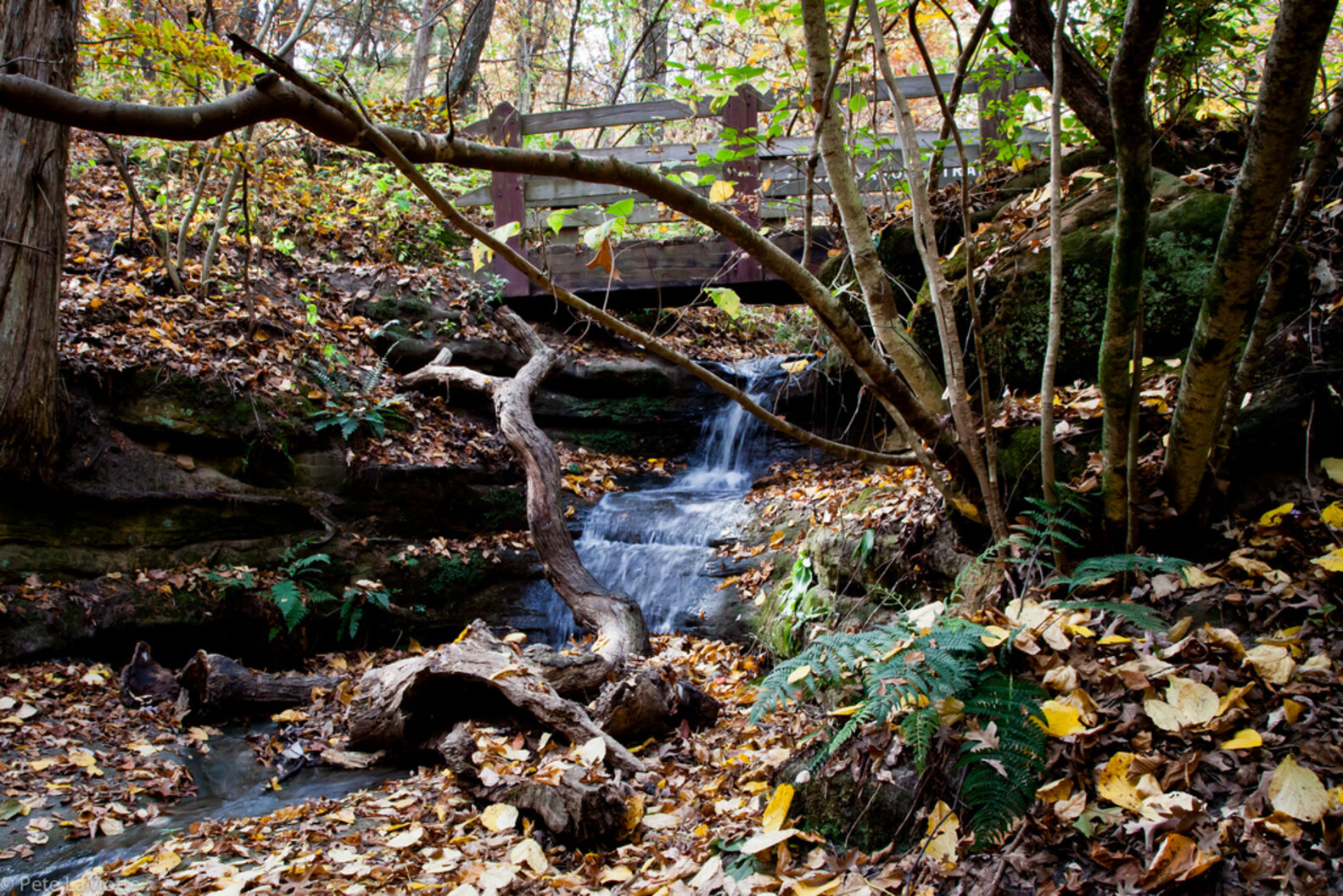 The Midwest's 11 Most Stunning Fall Vacation Destinations Thrillist