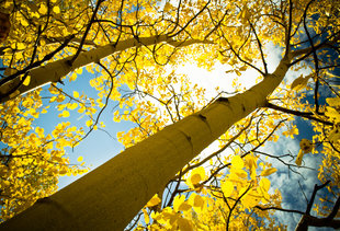 Your Fall Bucket List: The Best Things to Do in Denver